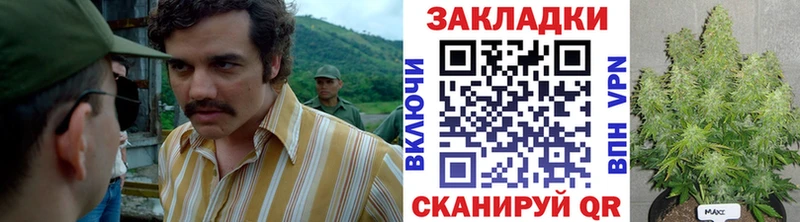 Наркота Тбилисская АМФ  ГАШ  Альфа ПВП  Бошки Шишки  Псилоцибиновые грибы  COCAIN 