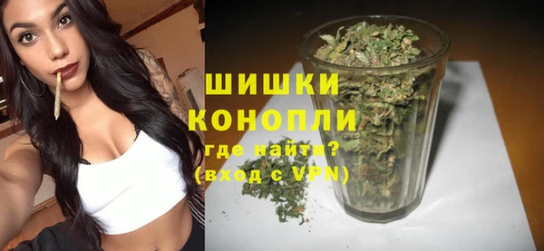 индика Лабытнанги