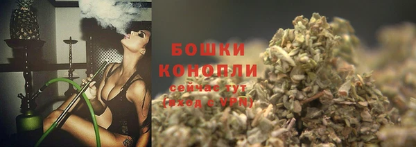 PSILOCYBIN Ладушкин