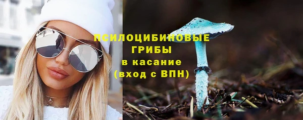 бошки Лагань