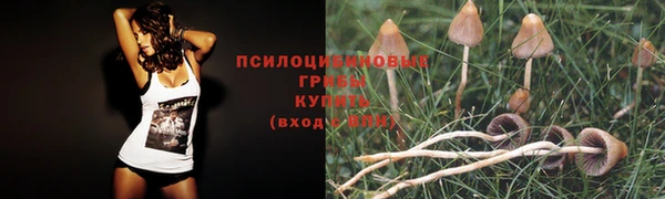 шишки Кулебаки