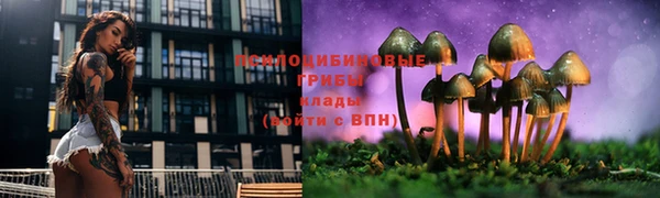 шишки Кулебаки