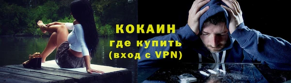 индика Лабытнанги