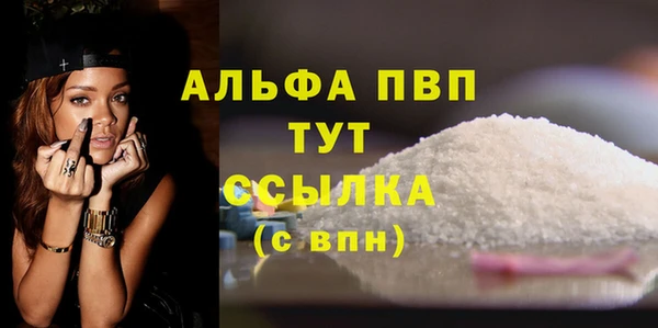 индика Лабытнанги