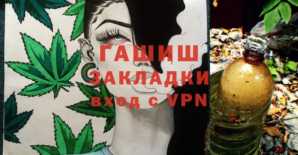 индика Лабытнанги