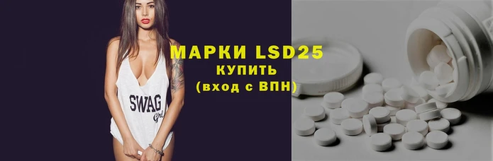 индика Лабытнанги