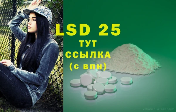 индика Лабытнанги