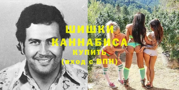 шишки Кулебаки